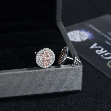 European And American Ins New S925 Silver D Color Moissanite Earrings Round Bitcoin Earrings Hip-Hop Personality Earrings Spot - Image 3